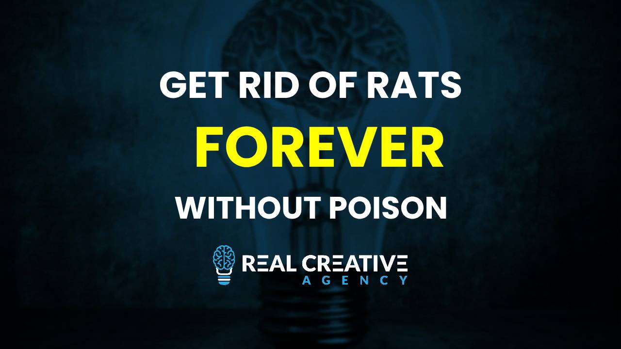 The best way to get rid of rats without using poison