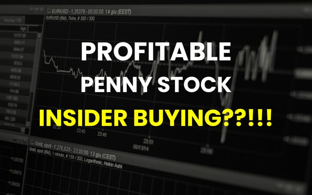 Best Profitable Penny Stock With Insider Buying