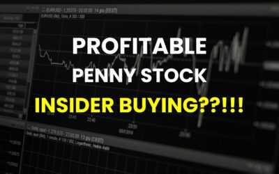 Best Profitable Penny Stock With Insider Buying