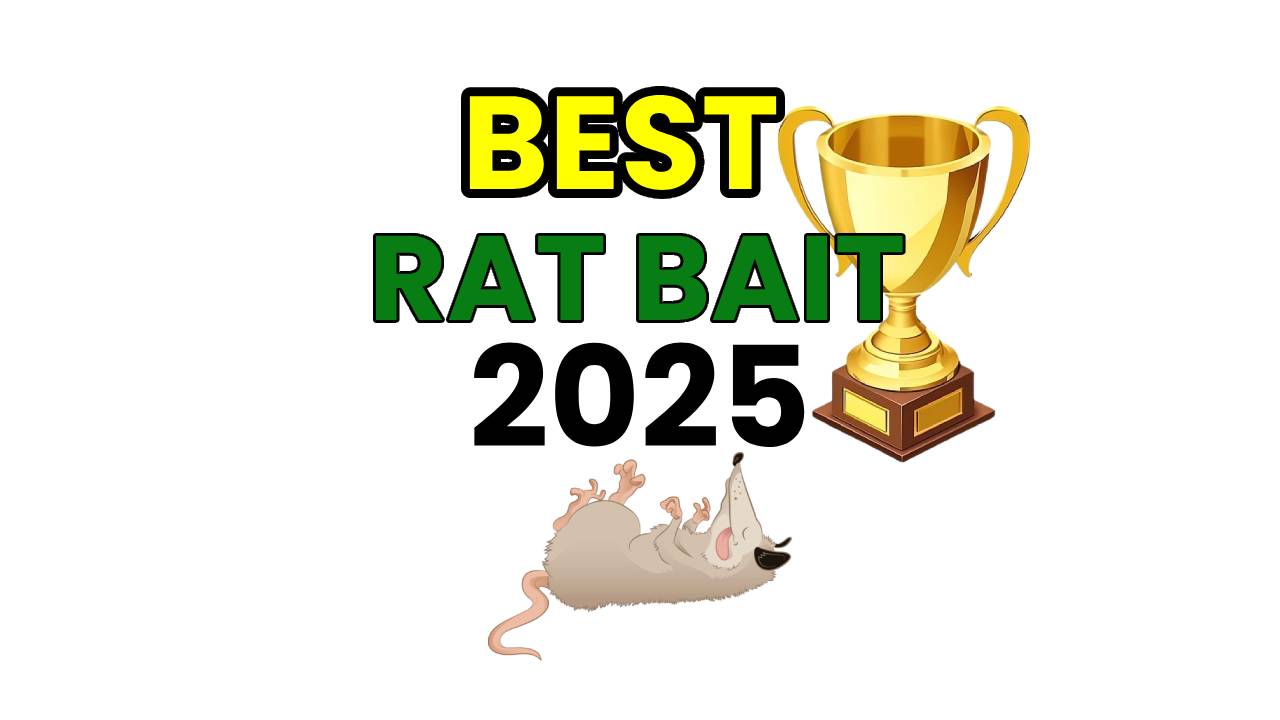 Best Rat Bait 2025 Why Evolve Beats RatX