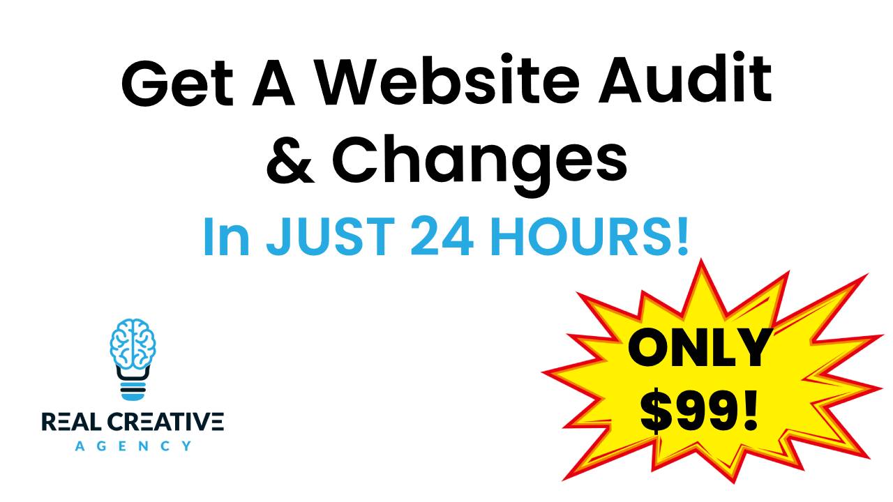 Website Audit And Changes In 24 Hours