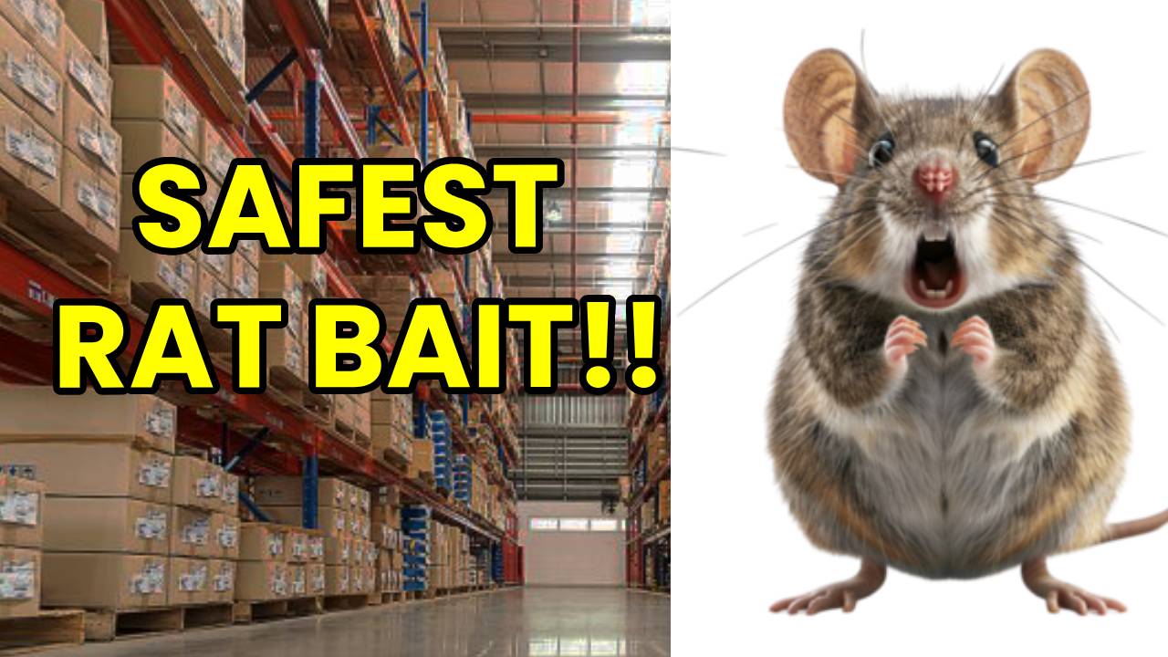 Safe and Effective Rat Control For Food Grade Facilities